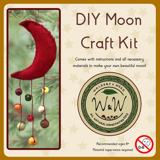 DIY Moon Craft Kit - Video Guide