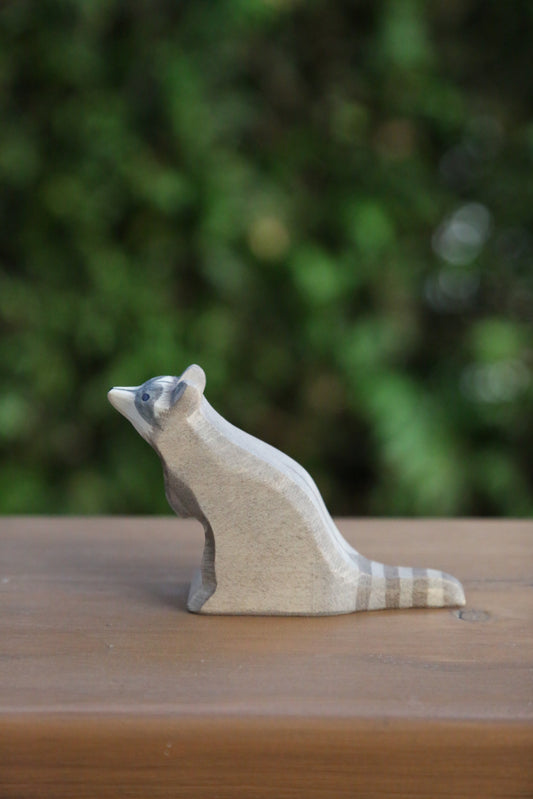 Raccoon