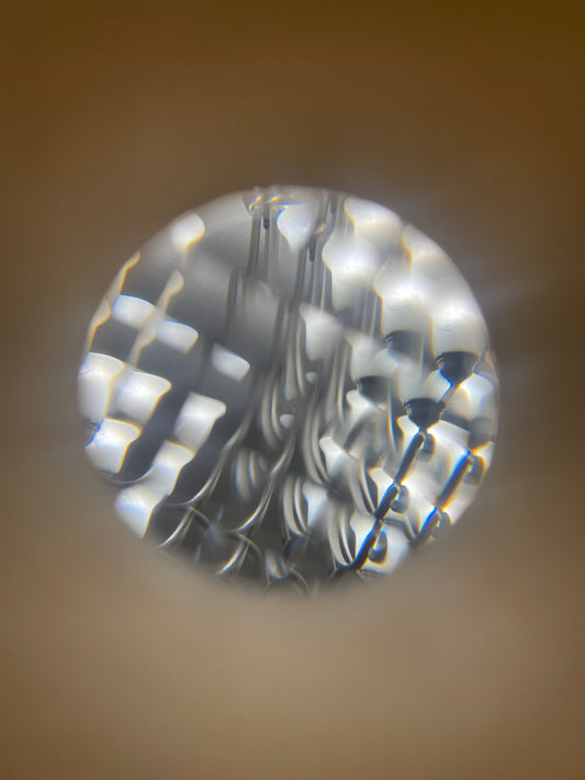 Fly's Eye Scope