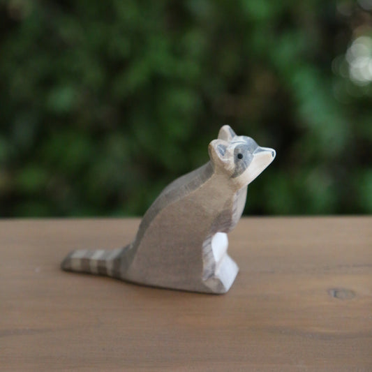 Raccoon
